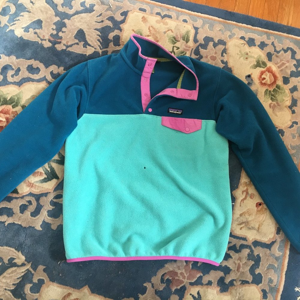 Colorful Patagonia Synchilla Fleece